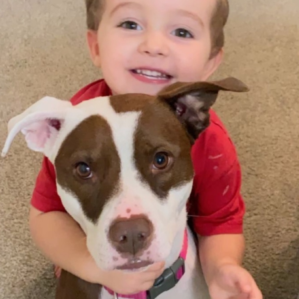 Meet your Posher, Lauren